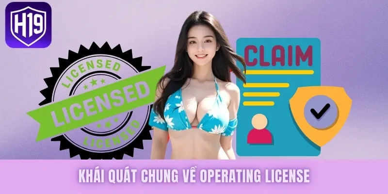 Khái quát chung về giấy phép hoạt động