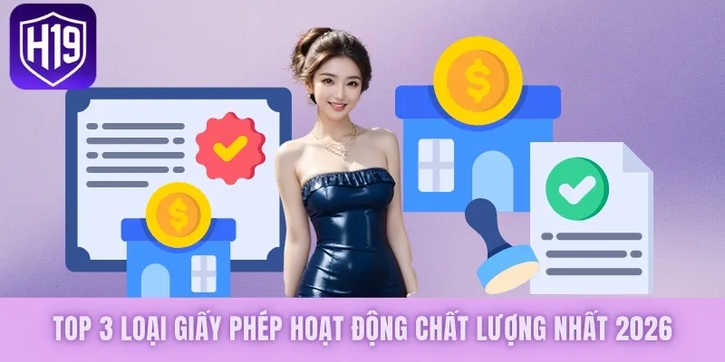 Top 3 loại giấy phép chất lượng nhất 2026